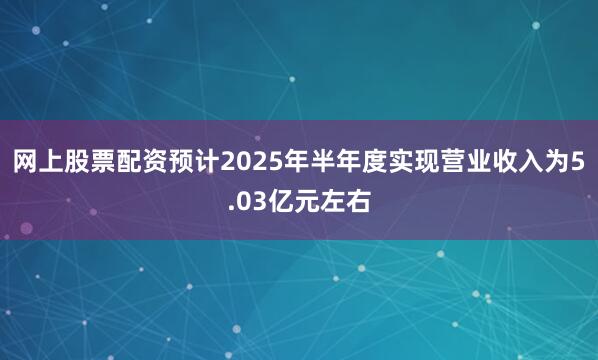 网上股票配资预计2025年半年度实现营业收入为5.03亿元左右